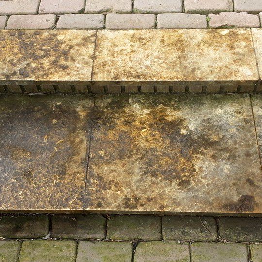 cropped-terras-1-1.jpg
